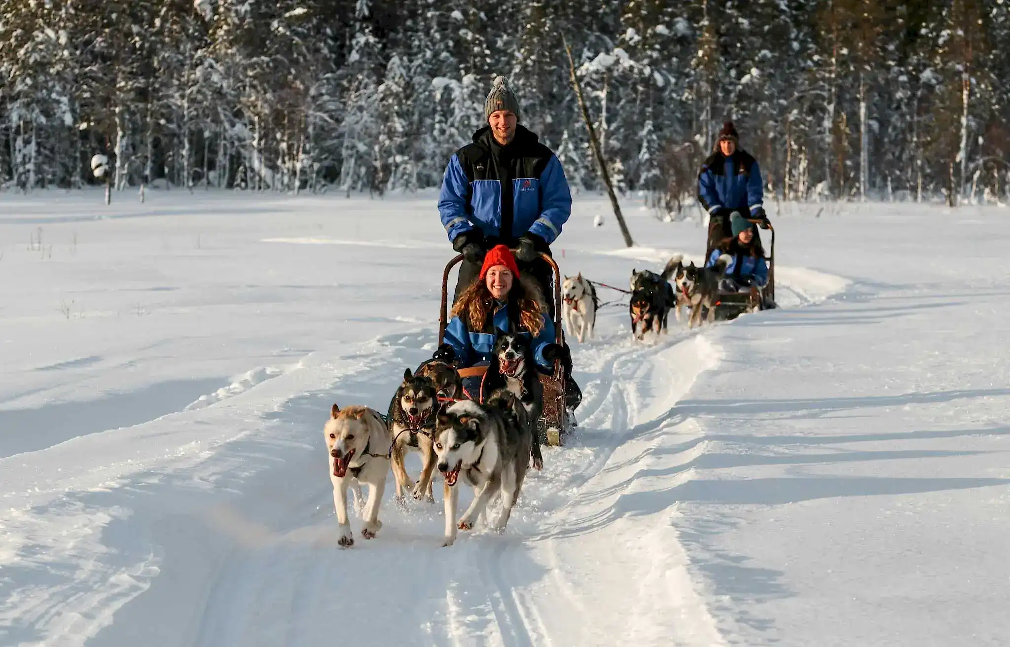 Lapland Kuzey Işıkları Turu 1